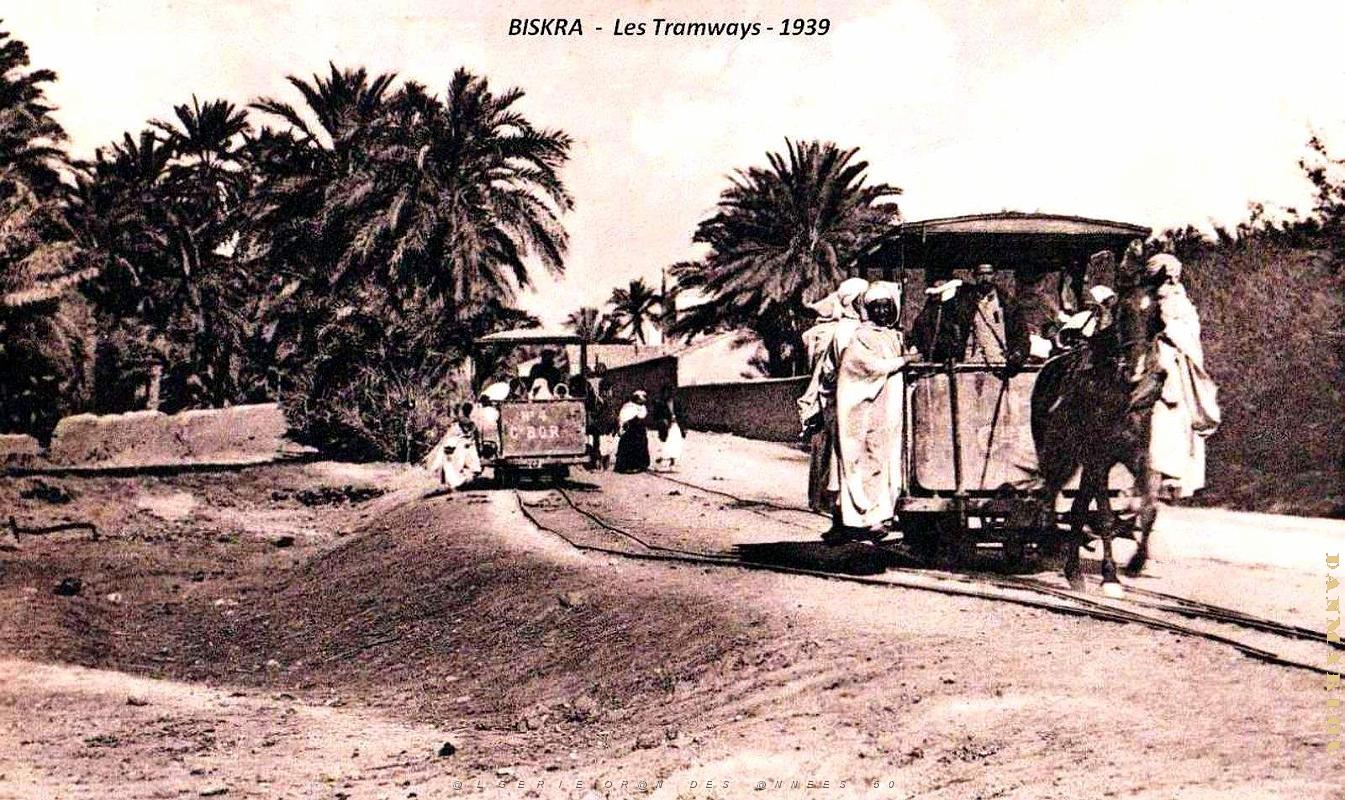 Biskra - Tramways - 1939.jpg